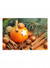 Winter Scent Embroidery Kit Orange/Green/White reviews Winter Scent Embroidery Kit Orange/Green/White