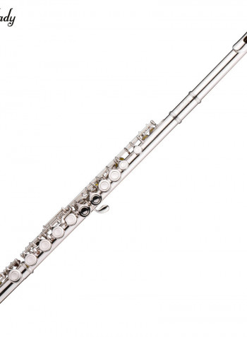 16-Holes Key Western Concert Flute