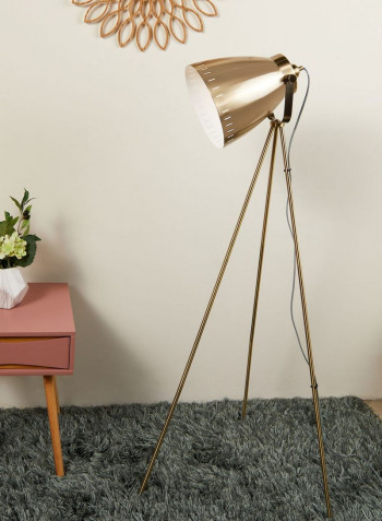 Luxury Mingle Brushed Brass Floor Lamp Gold