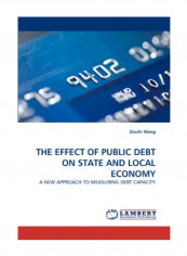 The Effect Of Public Debt On State And Local Economy Paperback