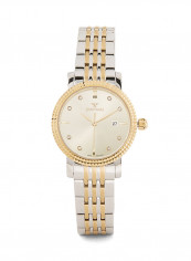 Stainless Steel Analog Watch S12574-1L-4