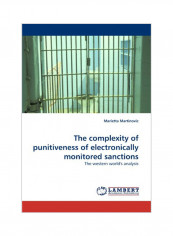 The Complexity Of Punitiveness Of Electronically Monitored Sanctions Paperback