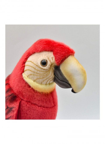Macaw Plush Toy