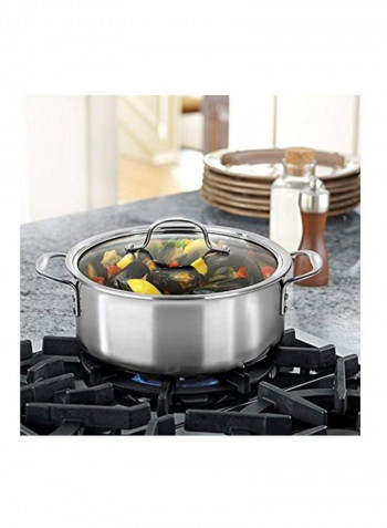 Stainless Steel Cooking Pot With Lid Silver/Clear