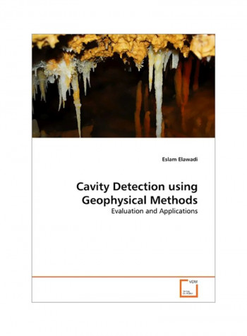 Cavity Detection Using Geophysical Methods: Evaluations And Applications Paperback
