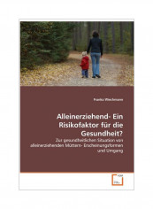 Alleinerziehend- Ein Risikofaktor Fur Die Gesundheit? Paperback