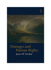 Damages And Human Rights Hardcover