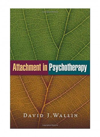 Attachment In Psychotherapy Hardcover