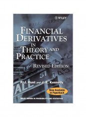 Financial Derivatives in Theory and Practice Paperback