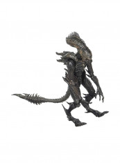Aliens Colonial Marines Xenomorph Raven Action Figure