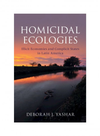Homicidal Ecologies: Illicit Economies And Complicit States In Latin America Hardcover