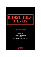 Intercultural Therapy: Themes, Interpretations and Practice Paperback