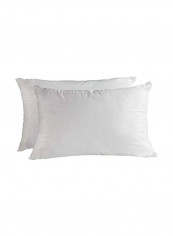2-Piece Anti Bed Bugs Tech Down Like Pillow