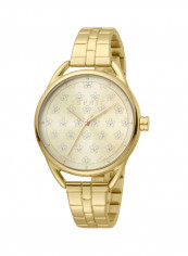 Women's Classic Analog Quartz Watch  ES.1L177M0095