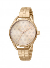 Women's Classic Analog Quartz Watch  ES.1L177M0105
