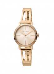 Women's Classic Analog Quartz Watch  ES.1L182M0065