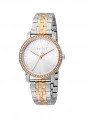 Women's Classic Analog Quartz Watch  ES.1L183M0095