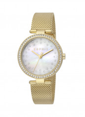Women's Classic Analog Quartz Watch  ES.1L199M1035