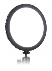 Round Soft Bi-Colour Thin LED Light 7inch Black