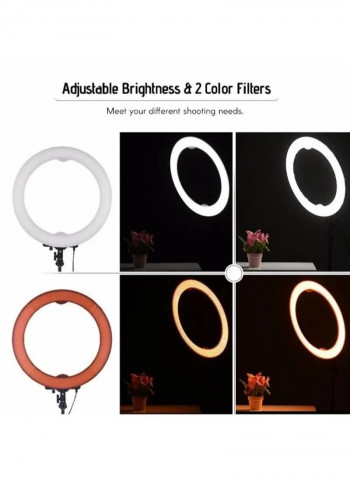 LED Photography Ring Light With Accessories White