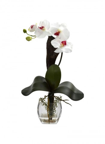 3-Piece Mixed Orchid Silk Flower Multicolour