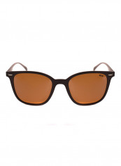 Polarized Lens Wayfarer Sunglasses - Lens Size: 52 mm