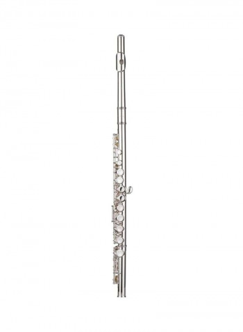 16 Holes Closed Hole Flute