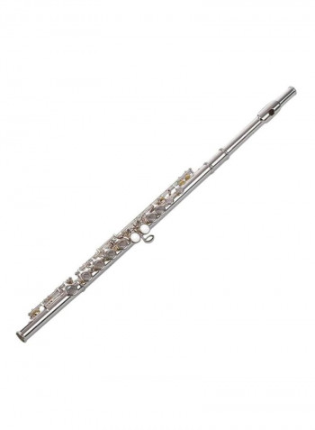 16 Holes Closed Hole Flute