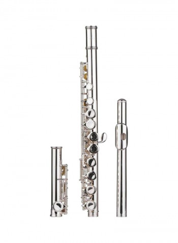 16 Holes Closed Hole Flute