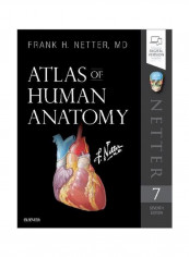 Atlas Of Human Anatomy Paperback 7