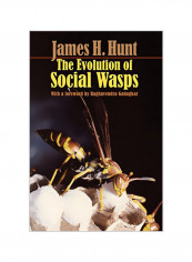 The Evolution Of Social Wasps Paperback