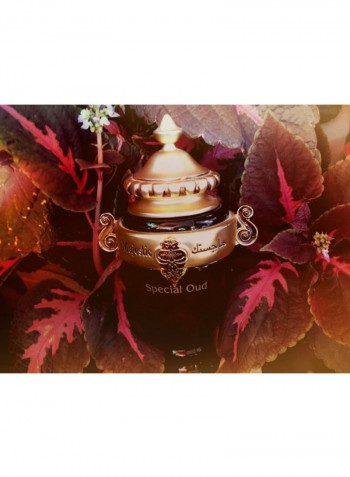 Majestic Special Oud For Unisex 100ml