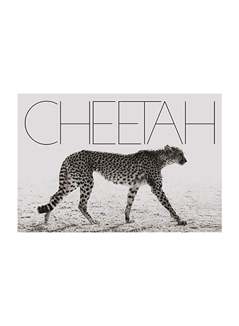 Cheetah Hardcover 1