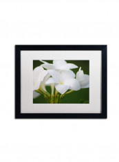 Picture Perfect Framed Canvas Wall Art multicolour 12 x 19inch