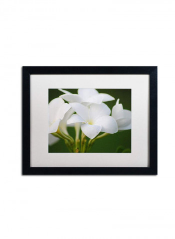 Picture Perfect Framed Canvas Wall Art multicolour 12 x 19inch