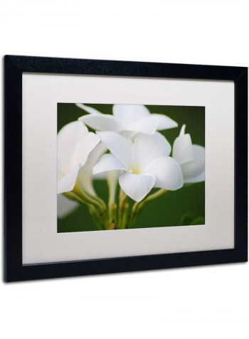 Picture Perfect Framed Canvas Wall Art multicolour 12 x 19inch