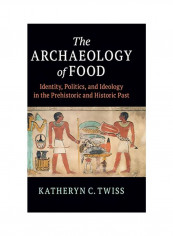 The Archaeology Of Food : Identity, Politics, And Ideology In The Prehistoric And Historic Past Hardcover