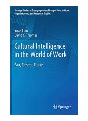 Cultural Intelligence in the World of Work: Past, Present, Future Paperback