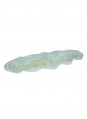 Twin Sheep Skin Rug Ivory 189x60centimeter