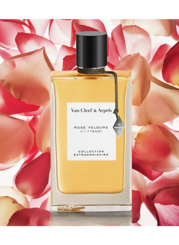Rose Velours EDP 75ml