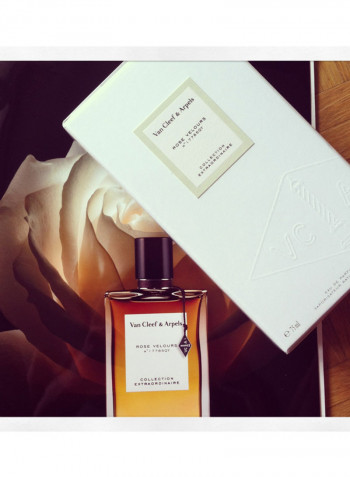 Rose Velours EDP 75ml