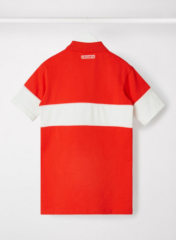 Colourblock Polo Dress Redcurrant Bush/Flour-Bag