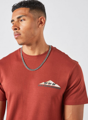 Crew Neck T-Shirt Brown