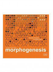 Morphogenesis : The Indian Perspective. The Global Context Hardcover