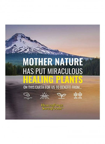 Warrior Food Plant Based Protein