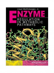 Enzyme Regulation In Metabolic Pathways Hardcover