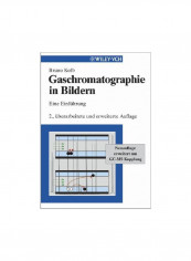 Gaschromatographie In Bildern: Eine Einfuhrung Paperback