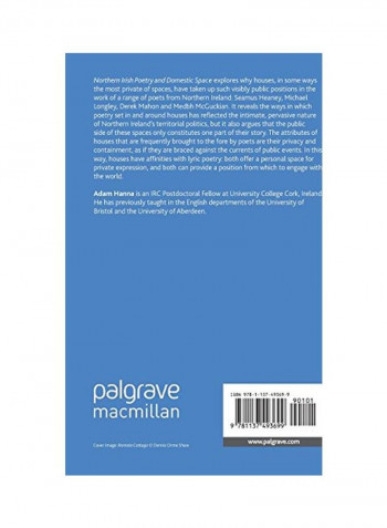 Northern Irish Poetry And Domestic Space Hardcover