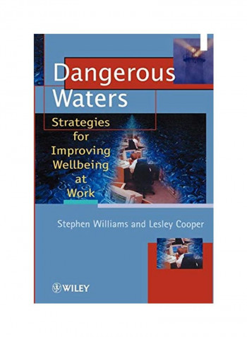 Dangerous Waters: Strategies for Improving Wellbeing at Work Paperback