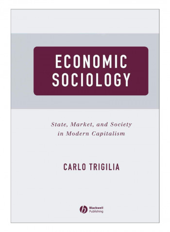 Economic Sociology Paperback